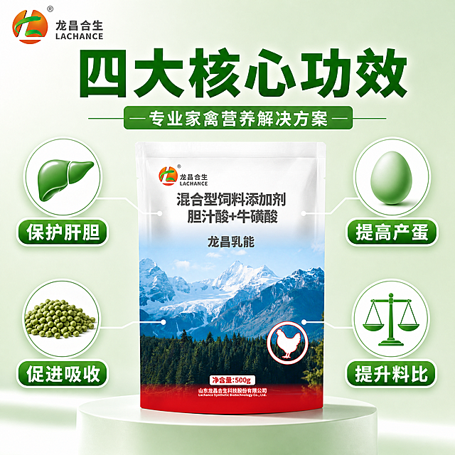 电商主图第二张，核心功能亮点图，简约绿色系。画面中心偏右展示完整的产品包装袋（龙昌合生 混合型饲料添加剂 胆汁酸+牛磺酸 龙昌乳能 500g），包装文字准确清晰。以产品为中心，用细白色引线从产品不同部位引出四个卖点图标和文字说明：左上引线指向“保护肝胆”，配肝脏图标；右上引线指向“提高产蛋”，配鸡蛋图标；左下引线指向“促进吸收”，配饲料颗粒图标；右下引线指向“提升料比”，配天平图标。左上角龙昌合生品牌Logo。顶部主标题大字“四大核心功效”，副标题“专业家禽营养解决方案”。背景为淡绿色渐变，干净简约。整体风格与首图统一，绿色主色调，白色卡片，绿色图标。商业摄影质感，产品清晰，文字可读。1:1正方形构图。