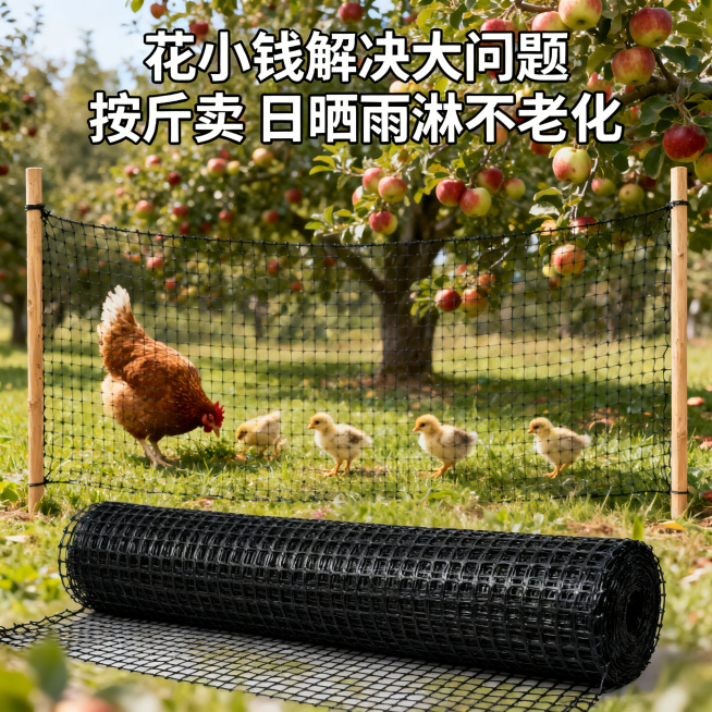 一张电商主图，前景铺开黑色塑料围栏网，围栏网高2米，网孔37厘米，木棍立柱支撑在两侧，保持产品网格结构不变，保持主体物理结构不变。背景是挂满果实的苹果园，母鸡带着小鸡在围网内草地上觅食，网子在画面前景预览效果
