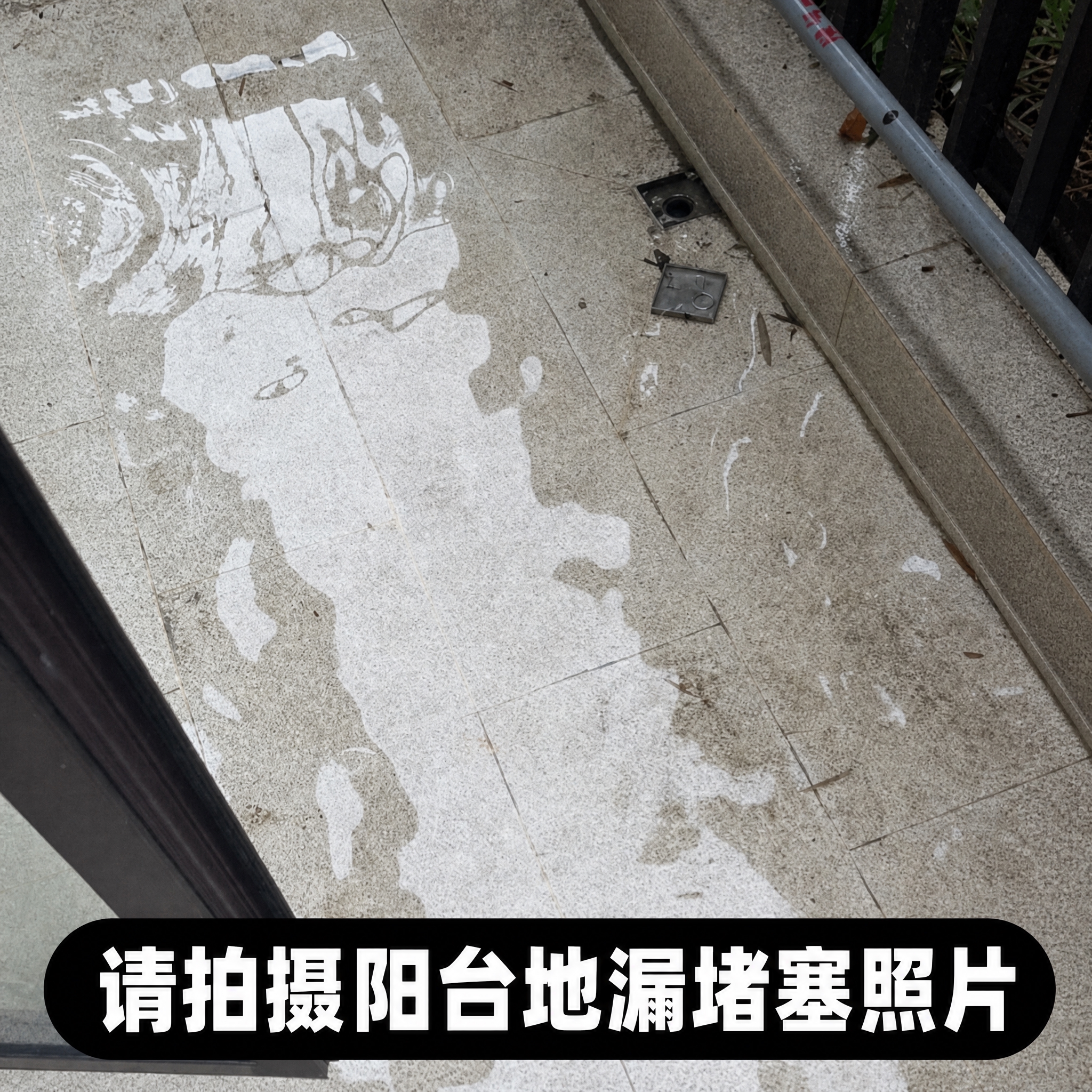 在图片底部添加黑色圆角矩形背景条，上面用白色粗体大字写着“请拍… - 图片创意预览