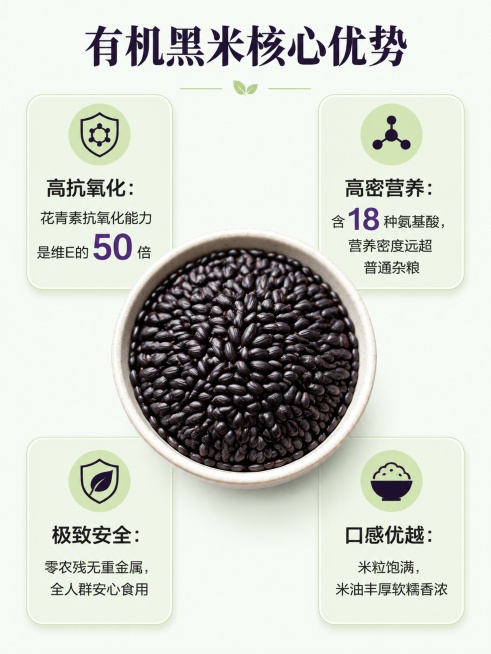 [第3屏] 有机黑米核心优势数据化展示屏。
[氛围/风格] 专业清晰风，干净通透，数据可视化呈现。
[元素布局] 画面中央是一碗干燥有机黑米颗粒特写，颗粒饱满乌黑，占比约40%；四周排列四个圆角浅绿色预览效果