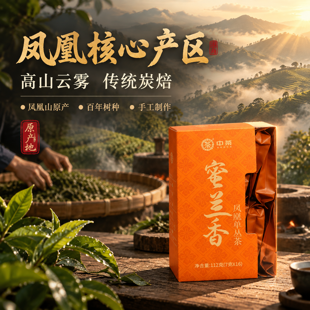 [主图-2] 产地溯源，中茶蜜兰香凤凰单丛茶核心产区与传统工艺… - 图片创意预览