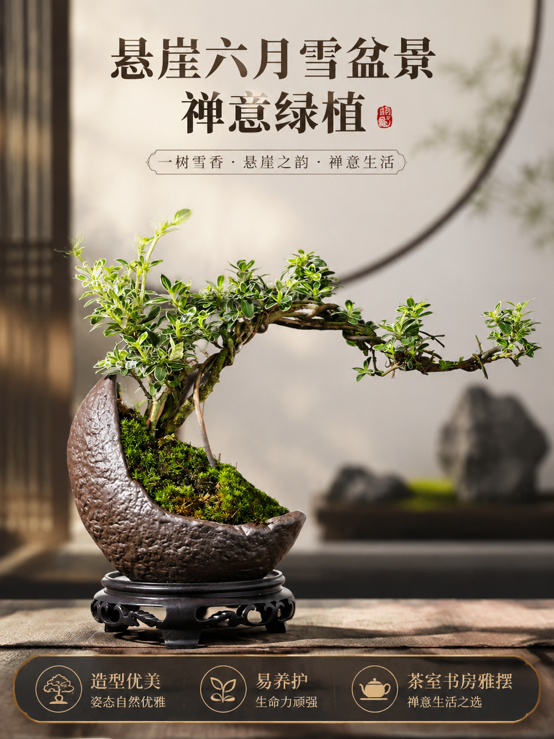 淘宝天猫电商主图，3:4竖版，主体为图中的悬崖造型六月雪盆景盆… - 图片创意预览