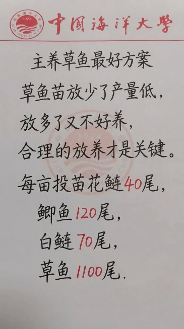 参照原图的纸张背景、字体风格和颜色，替换所有文字内容为：主养草鱼最好方案
草鱼苗放少了产量低，
放多了又不好养，
合理的放养才是关键。
每亩投苗花鲢40尾，
鲫鱼120尾，
白鲢70尾，
草鱼1100预览效果
