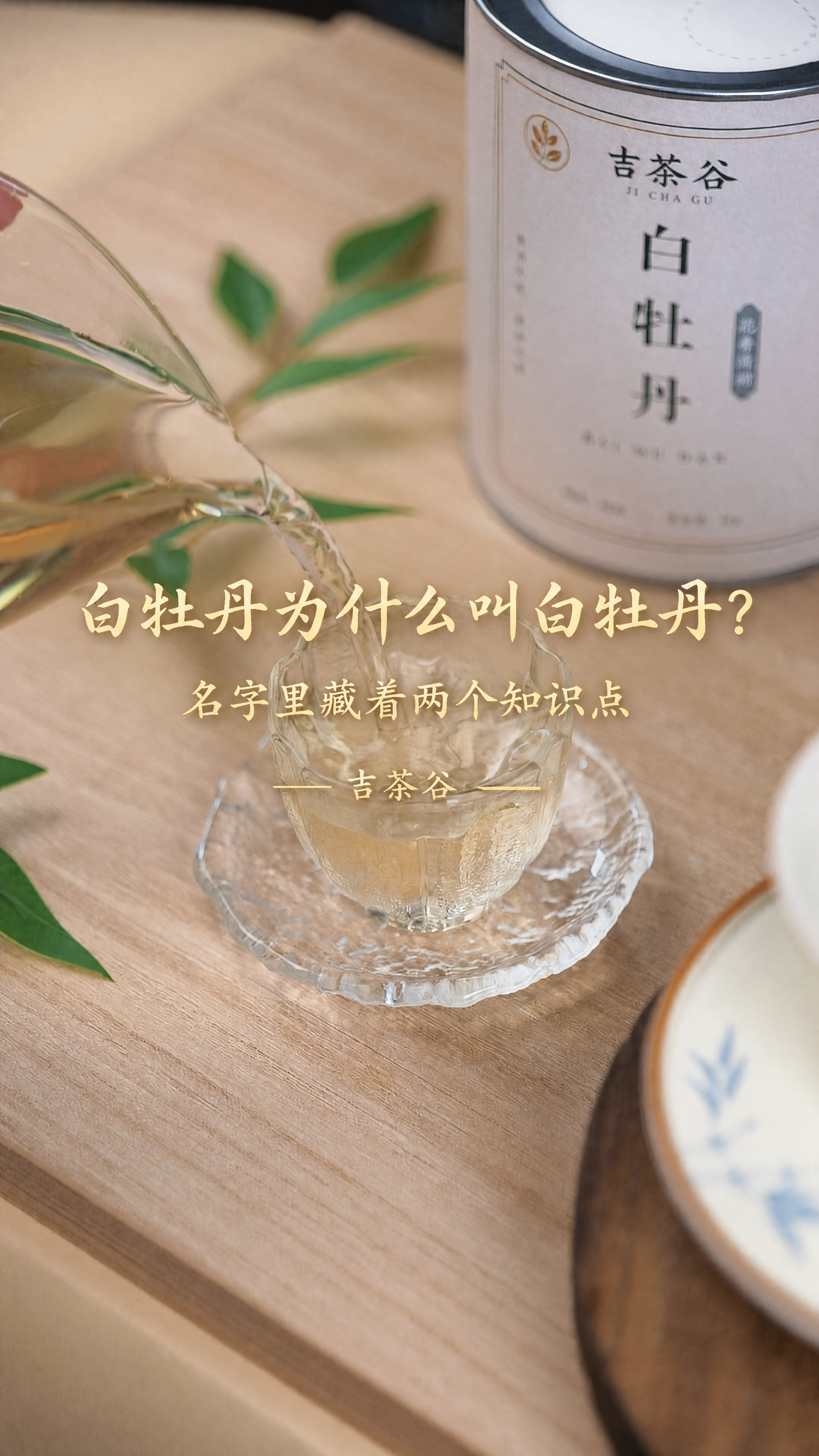 基于这张白牡丹茶汤倒茶的茶文化实拍图进行修改，适配抖音短视频主… - 图片创意预览