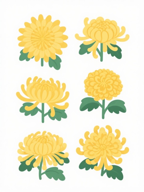 平面插画风格，白色背景，六朵不同样式、不同材质的黄色菊花排列整齐，菊花花瓣层次分明，边缘圆润，搭配翠绿叶片，整体色彩明快和谐，线条简洁流畅，具有清新淡雅的装饰感，每朵菊花形态各异，展现出独特的花瓣纹理和自然姿态，构图均衡对称，呈现出规整有序的视觉效果。预览效果