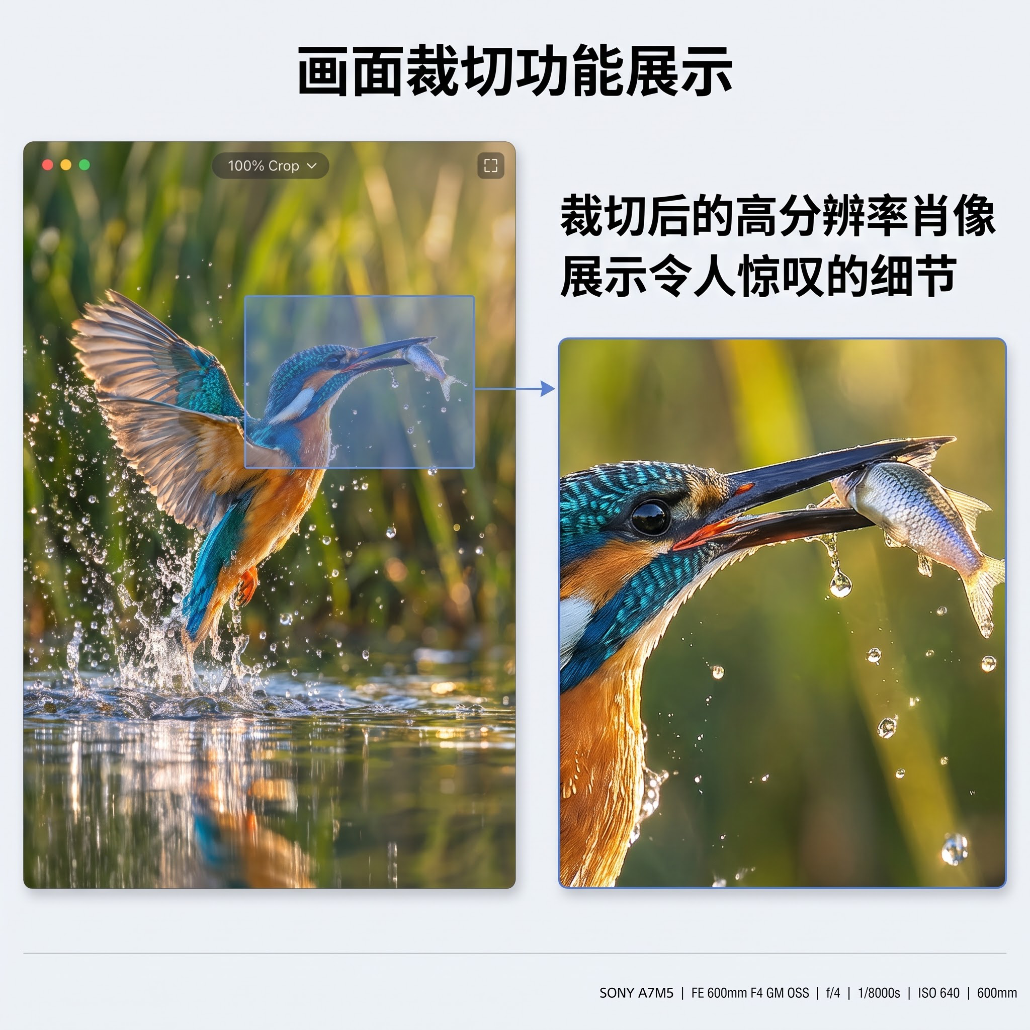 对这张画面再补充生成一张，画面裁切功能展示的图 - 图片创意预览