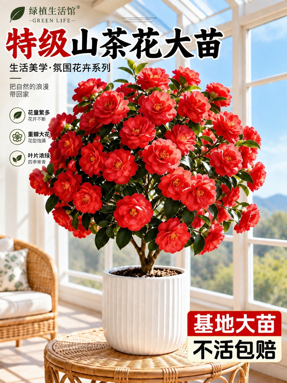 去除画面中所有背景里的绿植盆栽，包括左侧椅子旁的绿植、左下角前… - 图片创意预览