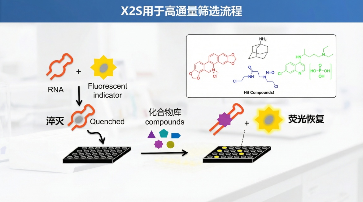 能生成新的图像吗？预览效果