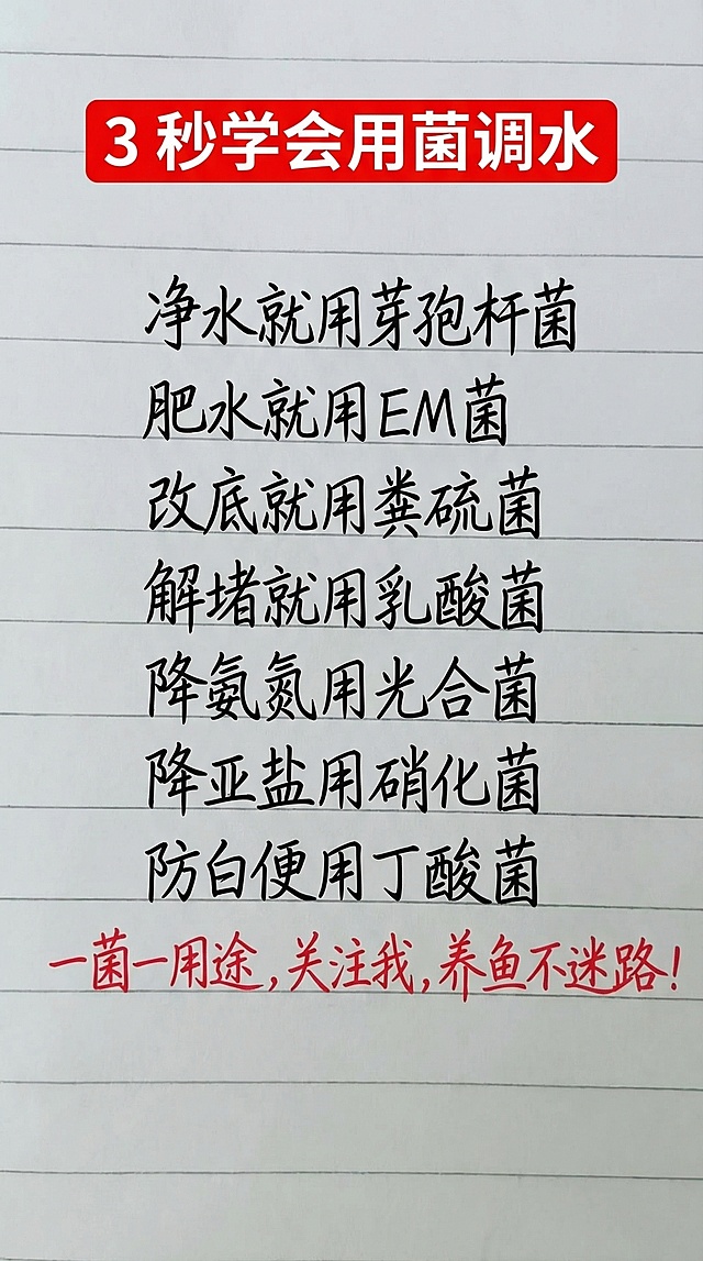 参照原图字体和颜色，将内容替换为"3 秒学会用菌调水  净水就用芽孢杆菌 肥水就用EM菌  改底就用粪硫菌  解堵就用乳酸菌  降氨氮用光合菌   降亚盐用硝化菌   防白便用丁酸菌   一菌一用途，关注我，养鱼不迷路！"，排版布局合理，一字不差