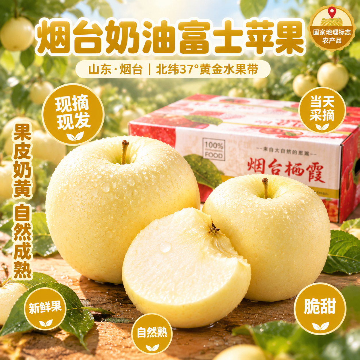 京东电商主图，800×800像素，1:1比例。背景为山东烟台栖… - 图片创意预览