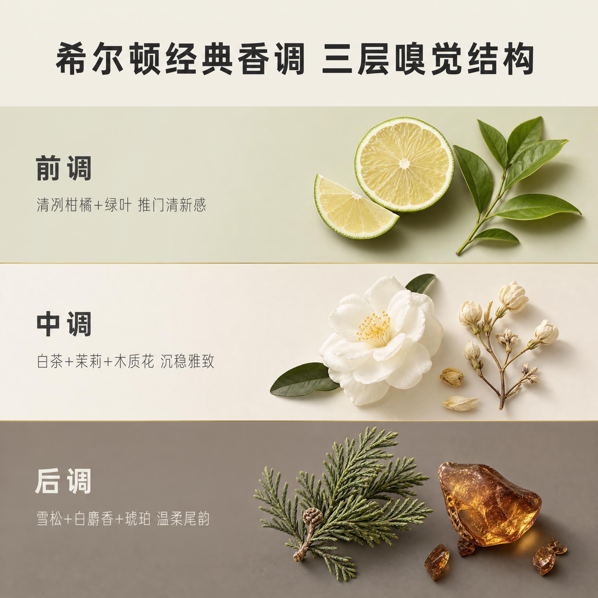 [主图-2] 美临家希尔顿香氛空气清新剂 香调解析。 [统一基… - 图片创意预览