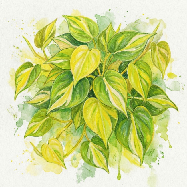 背景增加一些 同色系泼墨晕染的效果预览效果