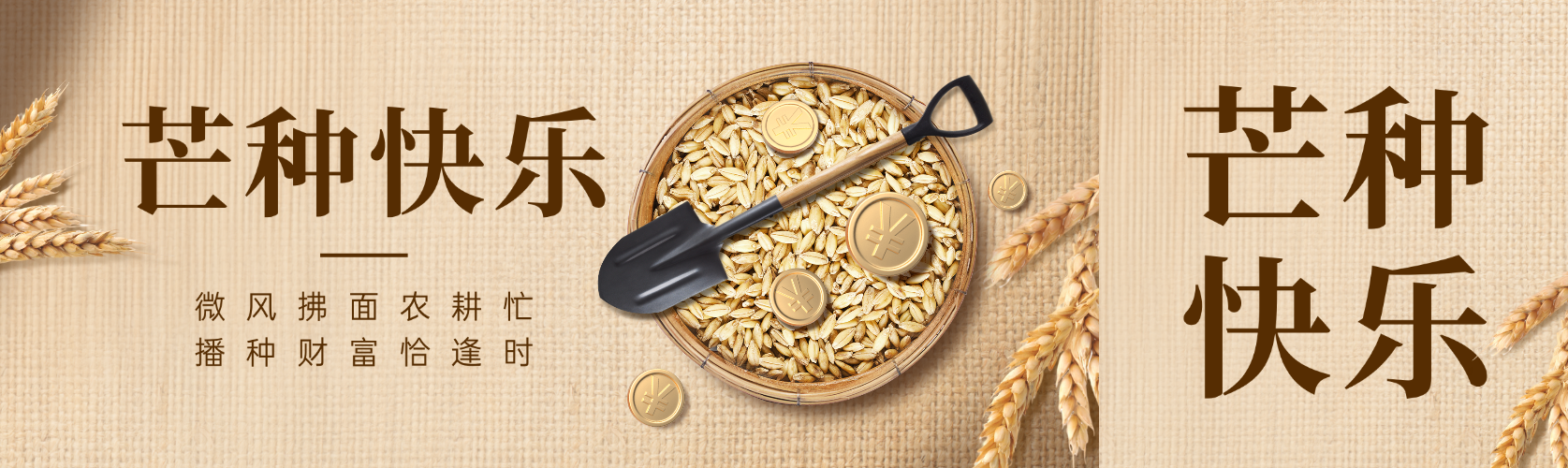 芒种节气祝福金融保险创意微信公众号双封面预览效果