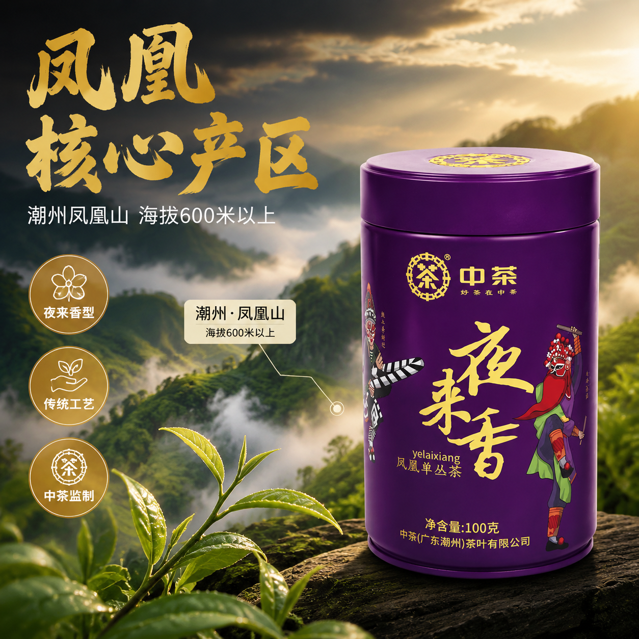 [主图-2] 核心亮点溯源 中茶夜来香凤凰单丛茶产地与香型卖点… - 图片创意预览