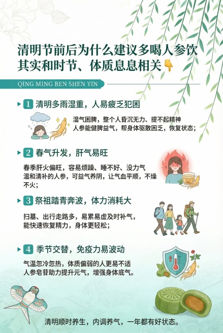 参考参考图的清新绿色清明节风格，设计一张竖版科普海报，尺寸和参考图一致。主标题是"清明节前后为什么建议多喝人参饮 其实和时节、体质息息相关👇"，四个知识点分点排版，每个知识点的标题需要加粗突出，排版预览效果