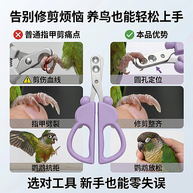 1:1竖版电商主图，清新自然宠物护理风，严格还原上传的产品图，包括指甲剪的造型、优势等所有细节，产品尺寸比例1:1。主视觉：左右对比布局，左侧为“普通指甲剪痛点”：剪伤血线、指甲劈裂、鹦鹉抗拒；右侧为“本品优势”：圆孔定位、修剪整齐、鹦鹉放松，中间放置指甲剪，背景为浅灰/浅白渐变，对比鲜明。主标题："告别修剪烦恼 养鸟也能轻松上手"，副标题："选对工具 新手也能零失误"，文字采用粗体无衬线字体，纯黑色，主标题居上居中，副标题居下居中，排版对比清晰，整体风格直观有说服力，高清质感。禁止修改产品造型/颜色；禁止对比场景失真；禁止产品比例失调；禁止文字杂乱；禁止添加无关元素；禁止风格割裂。