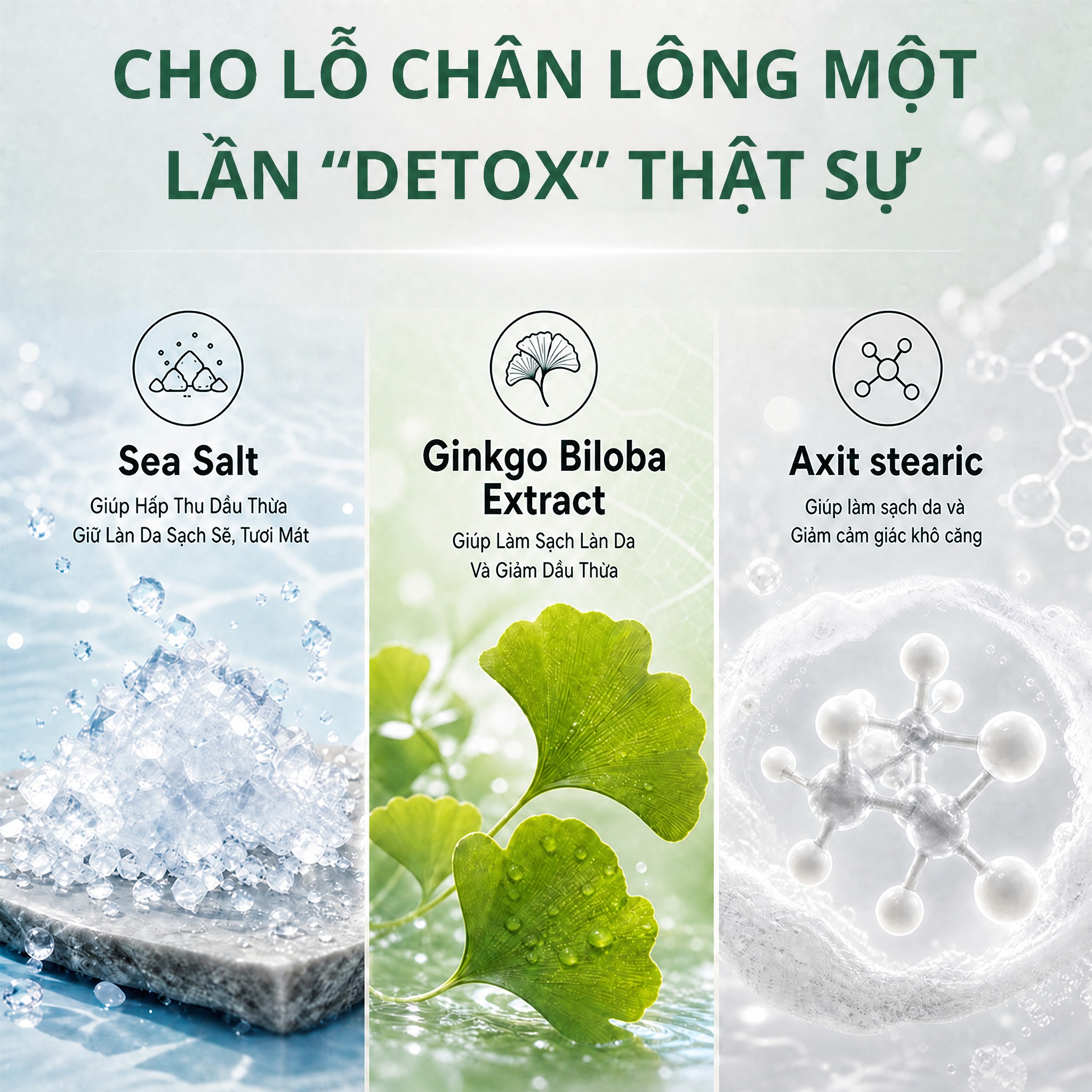 将图片中第二个成分的标题文字"Chiết Xuất Lá Bạ… - 图片创意预览