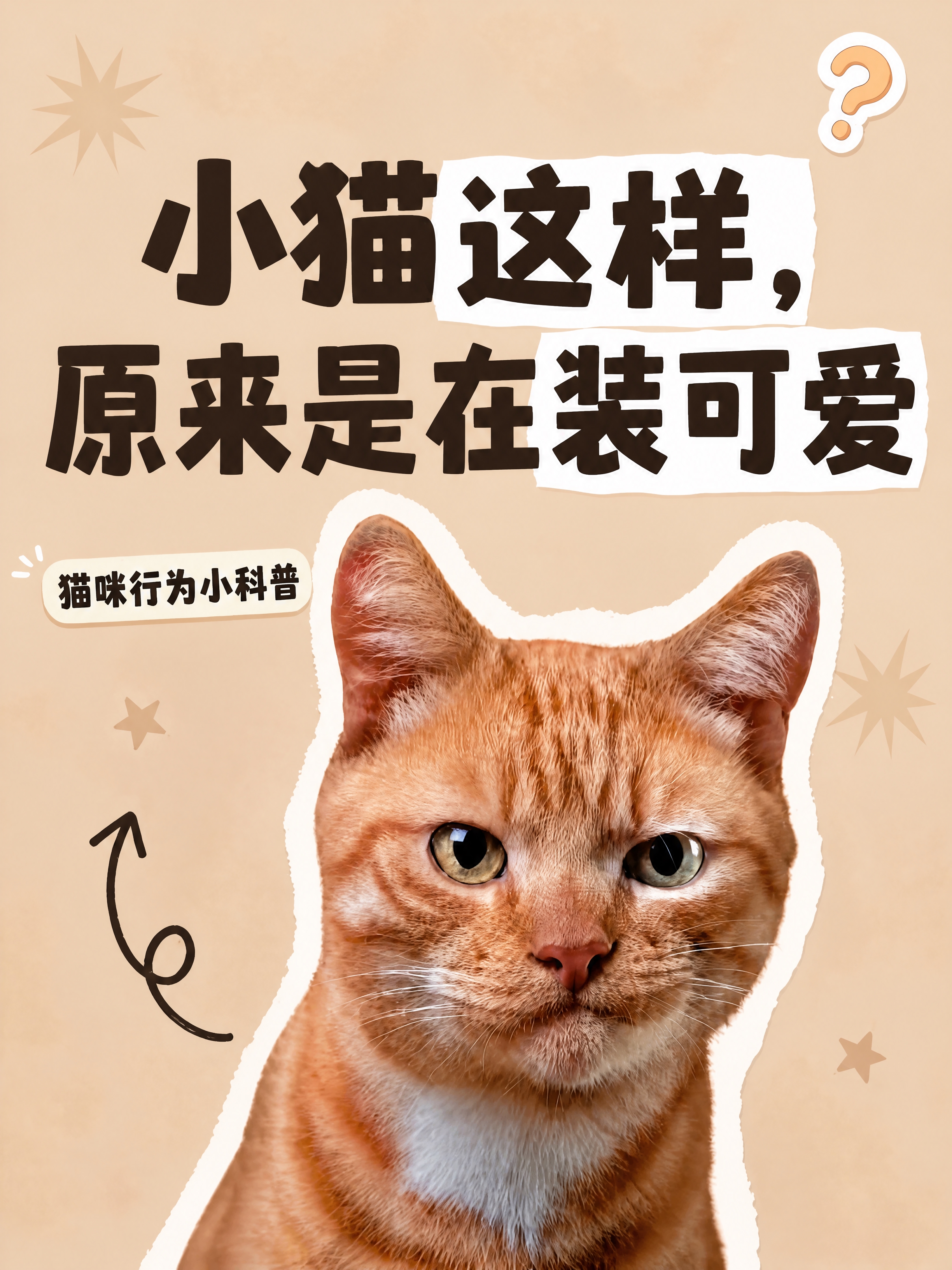 小红书笔记大字封面，配图大字，ins清新可爱风，版式精美，小红… - 图片创意预览
