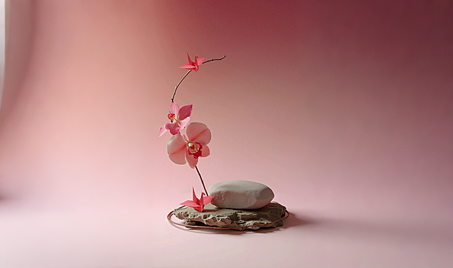 调整为苔藓堆