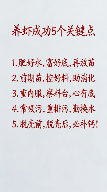 将图片文字替换为："养虾成功5个关键点"，红色字体，换行后依次为"1. 肥好水，富好底，再放苗""2. 前期苗，控好料，助消化""3. 重内服，察料台，心有底""4. 常吸污，重排污，勤换水""5.预览效果
