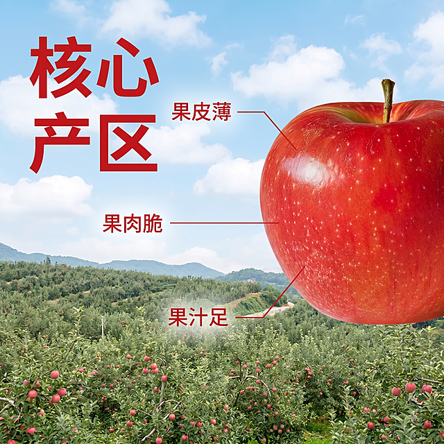 [主图 2] 苹果核心卖点产地溯源展示；保持苹果外观特征与原图绝对一致，杜绝变形色差；商业摄影质感，光线自然柔和，画面清晰干净；完整苹果放右侧，背景为漫山遍野的苹果园实景，远山蓝天白云；左侧用大字体标注"核心产区"，用细引线分别标注苹果特点："果皮薄" "果肉脆" "果汁足"，每个说明对应苹果位置，不遮挡主体；画面整体突出新鲜产地优势，传递天然健康卖点；光影为正午自然散射光，明亮干净；配色红色苹果绿色果园，自然清新；平视构图，景深适中；文字布局干净，重点突出，不遮挡主体；比例1:1，2k分辨率，超高清文字清晰；负向提示词：变形，水印，文字错乱，产品模糊，背景杂乱，色差，扭曲