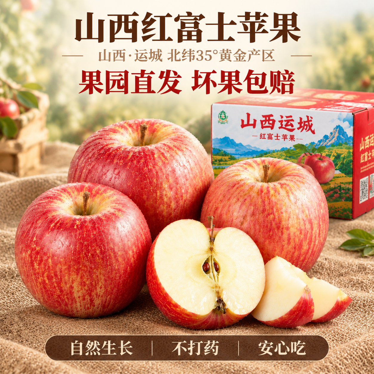 [主图-2] 粗麻布桌面场景，展示山西运城红富士苹果的质朴品质… - 图片创意预览
