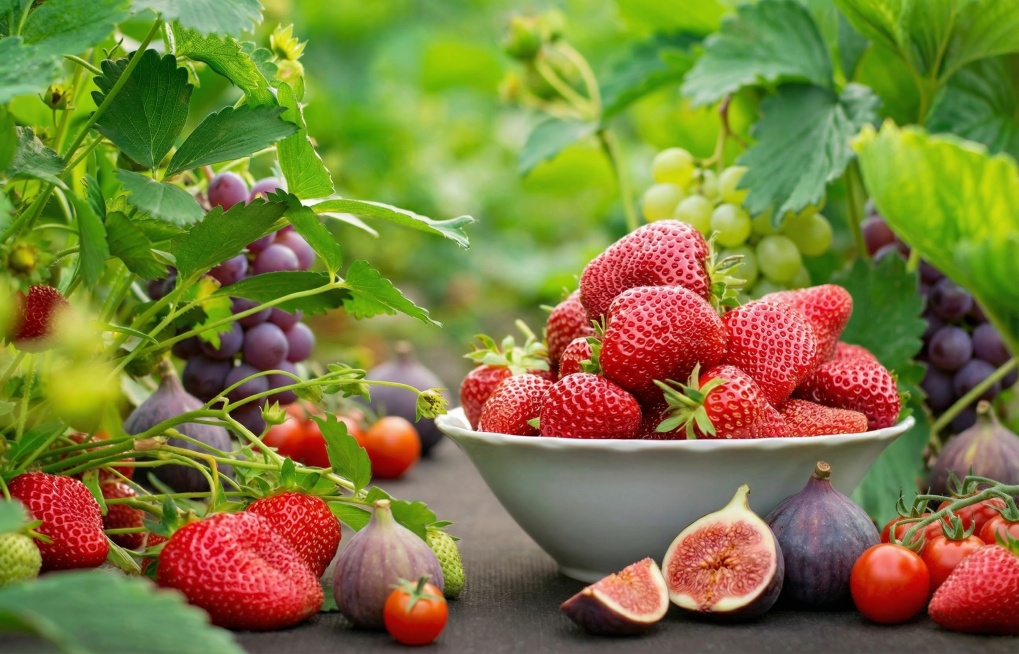 背景加点葡萄，无花果，小番茄，自然一点预览效果