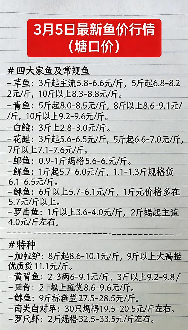 参照图片的手写字体、红黑配色和纸张背景，替换内容为：# 3月5日最新鱼价行情（塘口价）

## 四大家鱼及常规鱼
- **草鱼**：3斤起主流5.8-6.6元/斤，5斤起6.8-8.2元/斤，10斤以上8.3-8.8元/斤。
- **青鱼**：5斤起8.0-8.5元/斤，8斤以上8.6-9.1元/斤，10斤以上9.2-9.6元/斤。
- **白鲢**：3斤上2.8-3.0元/斤。
- **花鲢**：3斤起5.6-6.5元/斤，5斤起6.6-7.0元/斤，7斤以上7.1-7.6元/斤。
- **鲫鱼**：0.9-1斤规格5.6-6.2元/斤。
- **鳊鱼**：1斤起5.7-6.0元/斤，1.1-1.3斤规格6.1-6.5元/斤。
- **鲤鱼**：6两以上5.7-6.1元/斤，1斤起价格多在5.7元/斤以上。
- **罗非鱼**：1斤以上3.6-4.0元/斤，2斤规格主流4.0元/斤左右。

---

## 特种鱼
- **加州鲈**：8两起8.6-10.1元/斤，9两以上大规格优质货11.1元/斤。
- **黄骨鱼**：2-3两8.6-9.1元/斤，3两以上9.2-9.8元/斤，5两规格9.8元/斤。
- **黑鱼**：2斤以上统货8.6-9.6元/斤。
- **鳜鱼**：9两标准鳜27.5-28.5元/斤左右。
- **南美白对虾**：30只规格19.5-20.5元/斤左右。
- **罗氏虾**：3两规格32.5-33.5元/斤左右。，排版布局合理，一字不差
