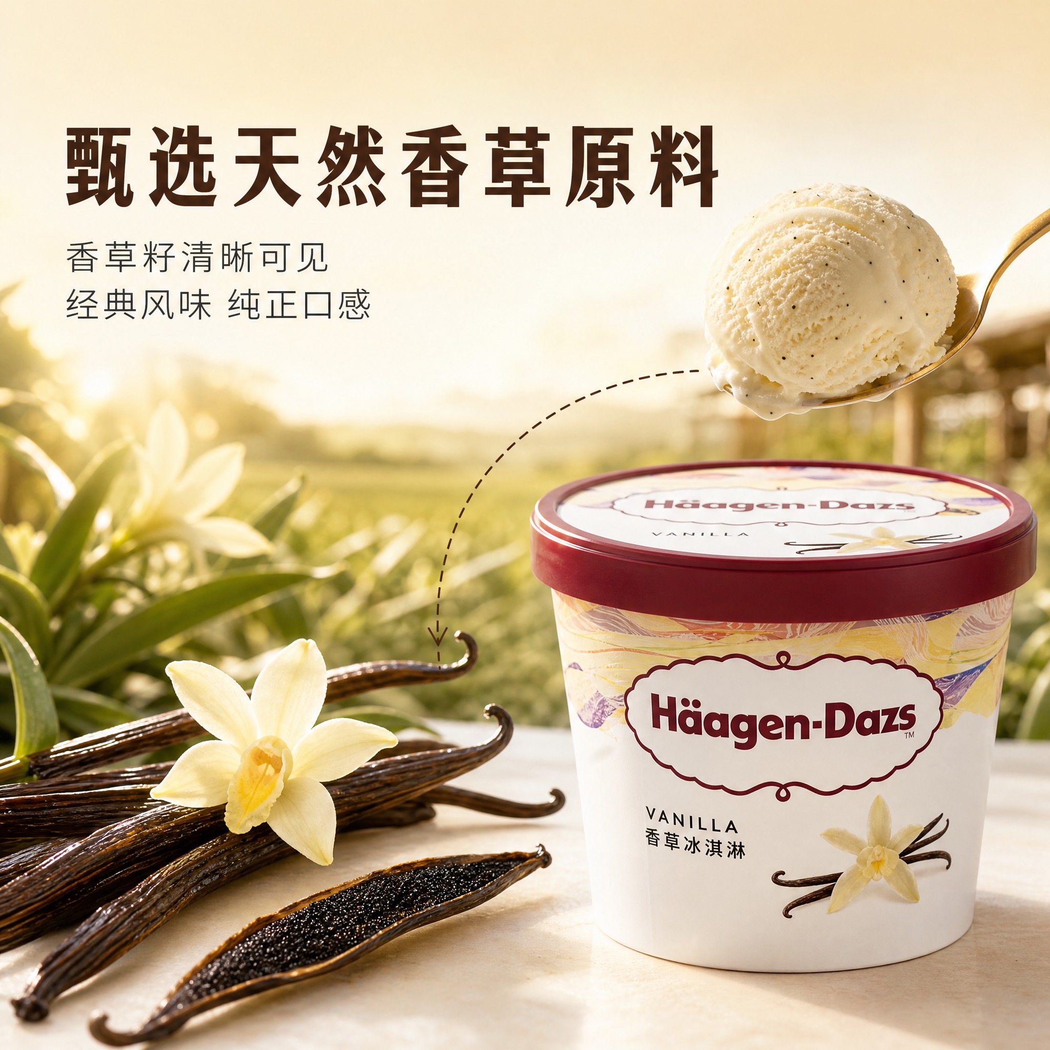 [主图-2] 香草口味冰淇淋原料溯源图，突出优质原料与品质保证… - 图片创意预览