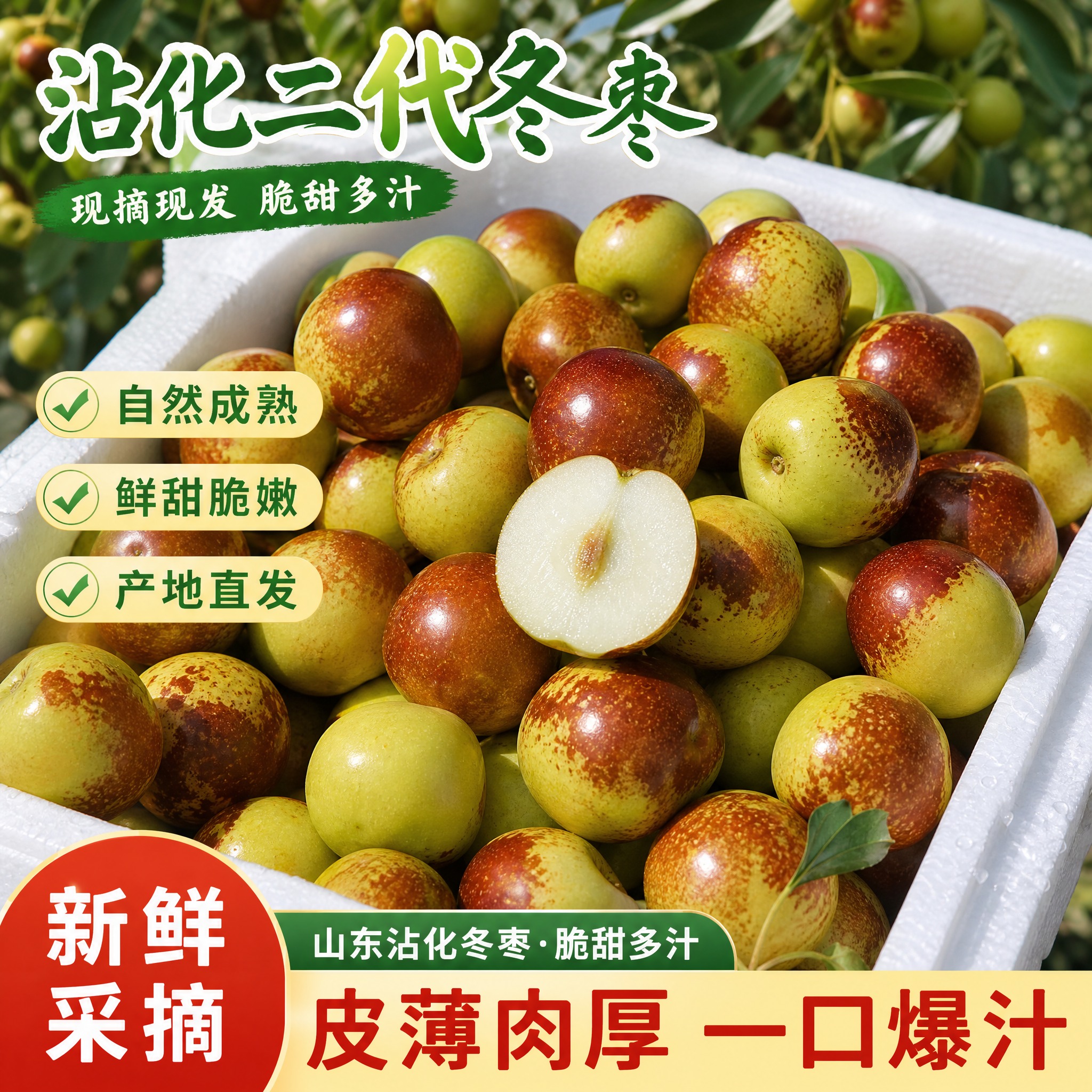 山东滨州沾化二代冬枣抖音电商首图，1:1正方形构图，泡沫箱中装… - 图片创意预览