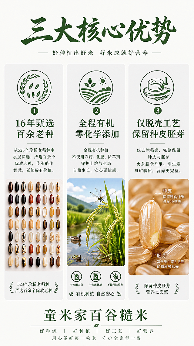 [第2屏] 核心卖点展示，童米家百谷糙米
[氛围/风格] 简洁权威风, 信息清晰易读, 突出老种稀缺、有机认证与“仅脱壳”工艺优势
[元素布局] 顶部大标题，下方三栏并列展示核心卖点：①老品种（523个珍稀老稻种中精选百余种）②有机种植（不喷农药/不施化肥/不打除草剂）③仅脱壳工艺（保留完整种皮与胚芽，营养更全面）。每栏配对应图标与微距图：左为百谷稻种图、中为田间生态图、右为百谷糙米特写（参考【图2】）
[光影质感] 均匀柔光, 各模块清晰独立, 无阴影干扰
[配色色系] 全局底色#F8F9F5, 文字深绿#2D5F2E, 模块底色浅灰#F0F2F5, 延续统一风格
[视角构图] 三栏横向排列, 适配手机竖屏阅读动线
[文字版式] 顶部居中主标题「三大核心优势」深绿书法; 三栏标题加粗，内容精炼短句，如「16年甄选｜百余老种」「全程有机｜零化学添加」「仅脱壳工艺｜保留种皮胚芽」, 字体统一
[比例分辨率] 9:16竖版，4K分辨率，文字清晰
[负向提示词] 图标变形，文字重叠, 配色杂乱