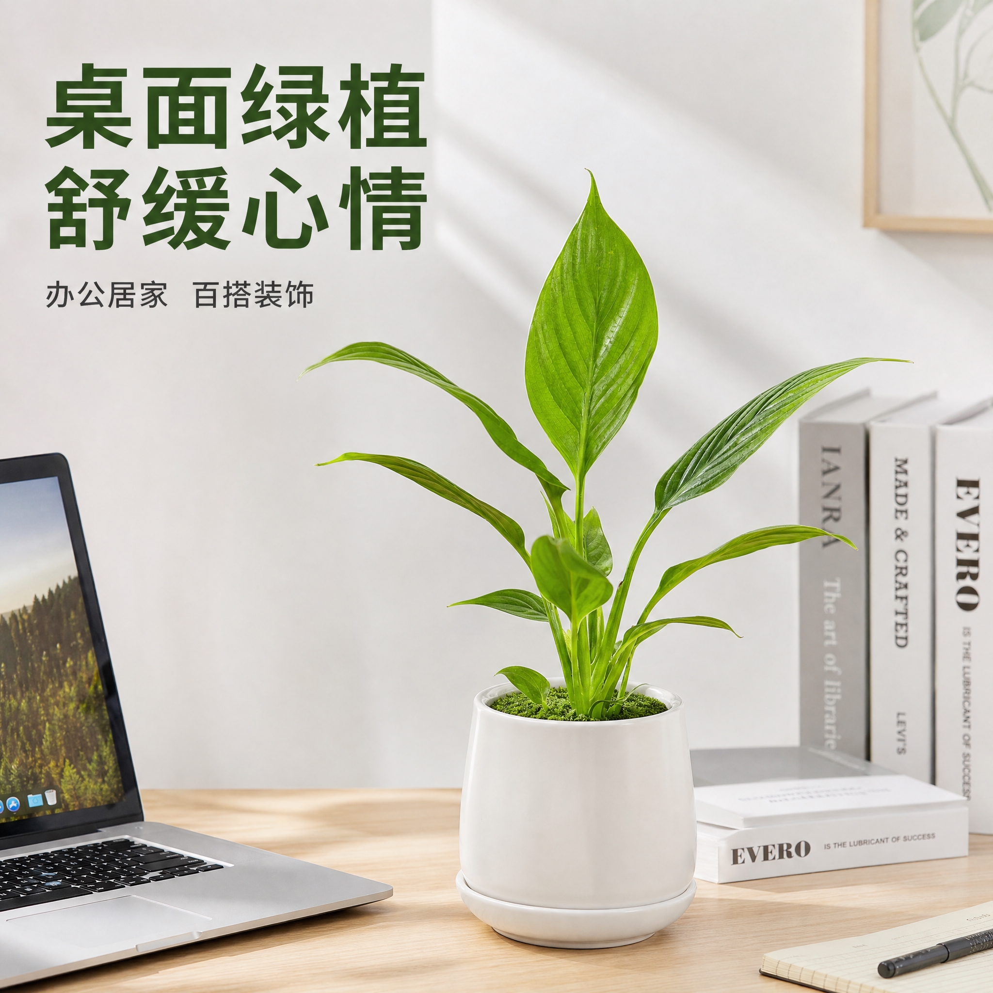 [主图-6] 美酒白掌桌面摆放场景图，简约书房桌面背景，高级感… - 图片创意预览