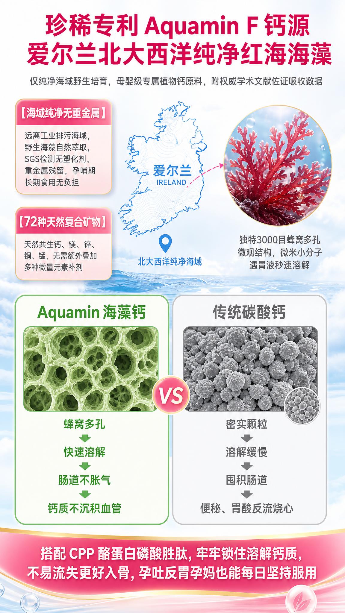 生成一张爱尔兰红海藻钙源溯源与微观对比竖版海报，比例9:16。… - 图片创意预览