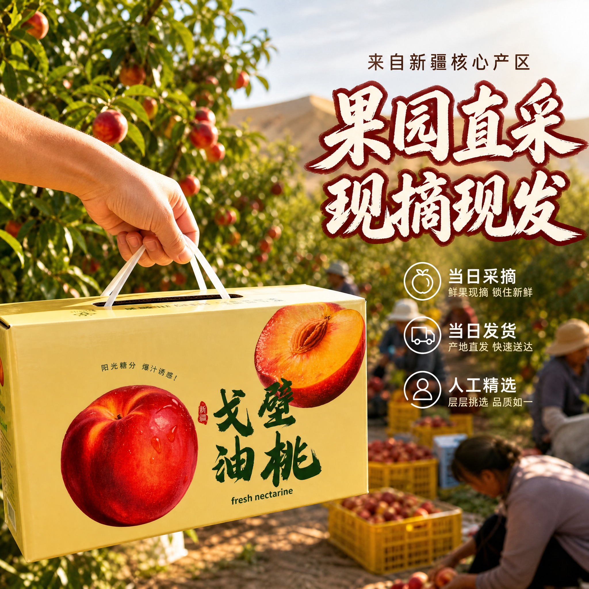 [主图-2] 新疆戈壁油桃 产地直发 果园现摘 [统一基调]… - 图片创意预览