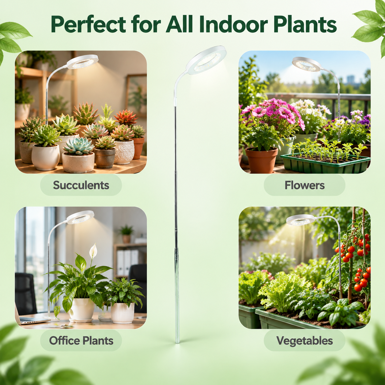 [主图-5] 多场景适用展示，适用植物类型与使用场景。 [统一… - 图片创意预览