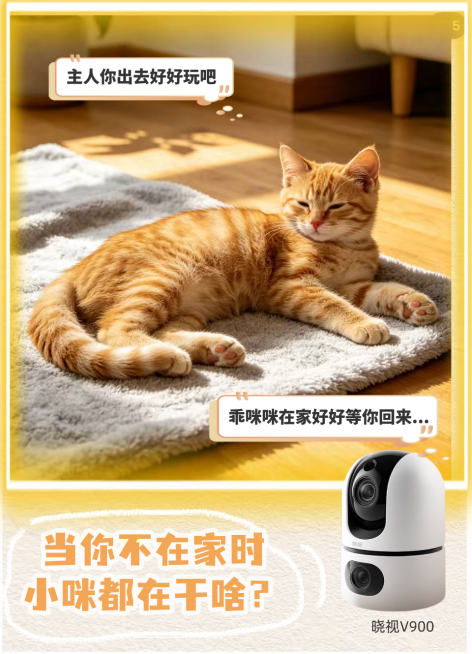 生活服务小红书封面预览效果