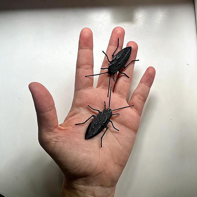 去掉图片左右两侧的白边，将图片调整为1:1正方形比例，保留手掌和黑色蟑螂模型的内容不变