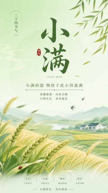一张适合公司公众号的小满节气海报，整体风格清新雅致，画面包含小满的稻田麦穗元素，顶部有醒目的文字“小满”，背景采用浅绿色渐变，整体清新自然，清新国风设计，适合企业宣传，简约大气，分辨率清晰预览效果