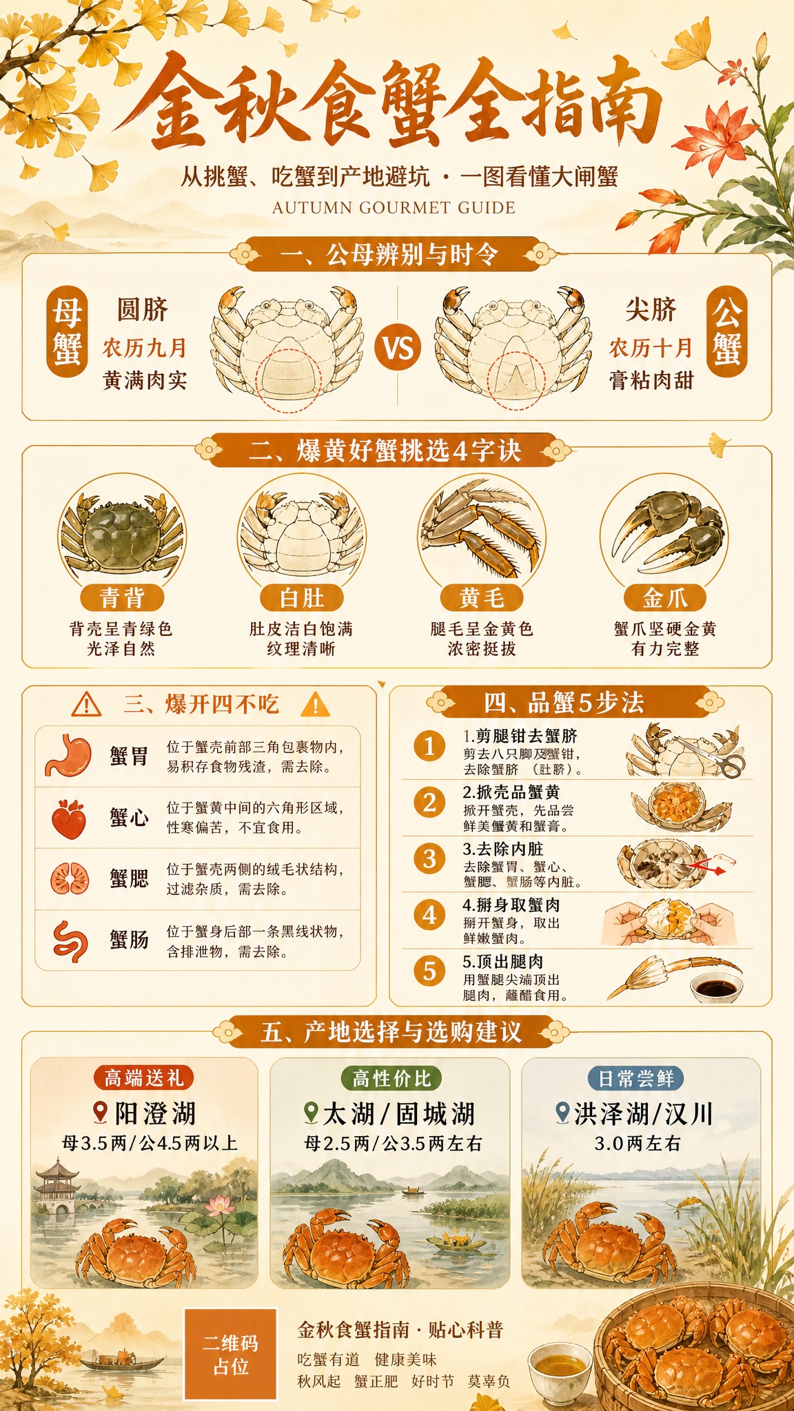 一张竖版9:16的金秋食蟹科普海报，国风新中式工笔风格，暖橙金… - 图片创意预览