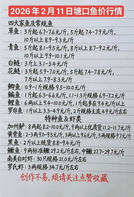 「图片1」2026 年 2 月 11 日塘口鱼价行情四大家鱼及常规鱼草鱼：3 斤起 6.7-7.6 元 / 斤，5 斤起 7.4-7.9 元 / 斤，10 斤以上 8.9-9.3 元 / 斤青鱼：5预览效果