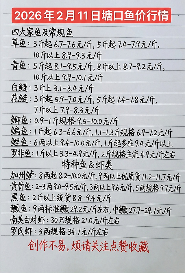 「图片1」2026 年 2 月 11 日塘口鱼价行情四大家鱼及常规鱼草鱼：3 斤起 6.7-7.6 元 / 斤，5 斤起 7.4-7.9 元 / 斤，10 斤以上 8.9-9.3 元 / 斤青鱼：5 斤起 8.1-9.5 元 / 斤，8 斤以上 8.7-9.2 元 / 斤，10 斤以上 9.9-10.1 元 / 斤白鲢：3 斤上 3.1-3.4 元 / 斤花鲢：3 斤起 5.9-7.0 元 / 斤，5 斤起 7.4-7.8 元 / 斤，7 斤以上 7.9-8.3 元 / 斤鲫鱼：0.9-1 斤规格 9.5-10.0 元 / 斤鳊鱼：1 斤起 6.3-6.6 元 / 斤，1.1-1.3 斤规格 6.9-7.2 元 / 斤鲤鱼：6 两以上 9.4-10.0 元 / 斤，1 斤起多在 9.4 元 / 斤以上罗非鱼：1 斤以上 3.3-4.9 元 / 斤，2 斤规格主流 4.9 元 / 斤左右特种鱼 & 虾类加州鲈：8 两起 8.2-10.0 元 / 斤，9 两以上优质货 11.2-11.7 元 / 斤黄骨鱼：2-3 两 9.0-9.5 元 / 斤，3 两以上 9.6 元 / 斤，5 两规格 9.7 元 / 斤黑鱼：2 斤以上统货 8.8-9.4 元 / 斤鳜鱼：9 两标准鳜 29.2 元 / 斤左右，中鳜 27.7-29.7 元 / 斤南美白对虾：30 只规格 21.0 元 / 斤左右罗氏虾：3 两规格 34.7 元 / 斤左右 创作不易,烦请关注点赞收藏参照图片字体和颜色，用上面内容替换生成新的内容，要求排版布局合理，一字不差。