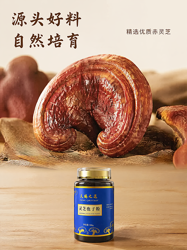 [第2屏] 核心原料展示-道地灵芝原料呈现。本屏使用【图1】作为商品主体，单独展示灵芝原料细节。
[氛围/风格] 原生态自然风，真实食材摄影质感，突出原料天然属性。
[元素布局] 画面采用上下分栏布局，上半部分展示完整赤芝原料微距特写，下半部分放置灵芝孢子粉产品瓶身，产品瓶身占比约30%，原料占比约60%，保持产品结构颜色一致，少文案突出原料展示。
[光影质感] 顶部漫射自然光，灵芝纹理清晰呈现，底部产品柔和打光，整体明暗层次自然。
[配色色系] 全局底色 #f5f0e6，主体赤棕色灵芝+蓝金色产品瓶身，辅助色浅木色底纹。
[视角构图] 原料微距特写+产品下方摆放，景深适中，阅读动线从上到下。
[文字版式] 左上角主标题「源头好料 自然培育」，字体采用温润书法风格，标题字纯色填充，字色使用深棕色，正文使用同家族无衬线字体，右侧简短副标题「精选优质赤灵芝」，文字区域不遮挡主体，保持简洁。
[比例分辨率] 3:4，2K，文字清晰可辨。
[负向提示词] 灵芝变形，纹理模糊，产品瓶身走形，文字错乱，水印，颜色偏差，背景杂乱