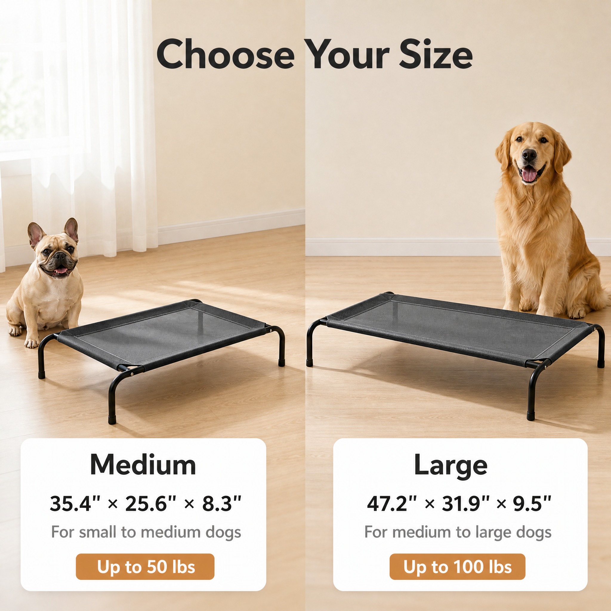 [主图-6] Elevated Dog Bed 高架狗床 规格… - 图片创意预览