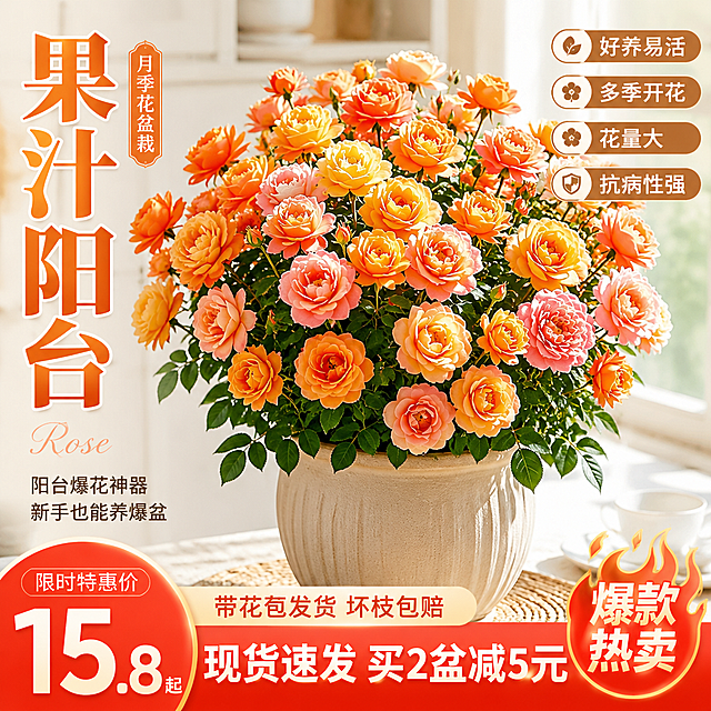 淘宝天猫电商主图，1:1正方形，画面主体为果汁阳台月季花盆栽，花团锦簇，色彩渐变从橙黄到粉红，花朵层次丰富，生机勃勃。背景为简约干净的浅色系家居场景，柔和自然光，突出产品主体。画面左侧竖排商品名称"果汁阳台"，右侧配卖点文字"好养易活 多季开花 花量大 抗病性强"，底部加促销感标签文字，排版美观协调，电商主图风格，视觉冲击力强，色彩明亮饱满，细节清晰，专业商业摄影质感。