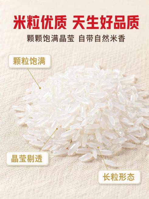 预览效果