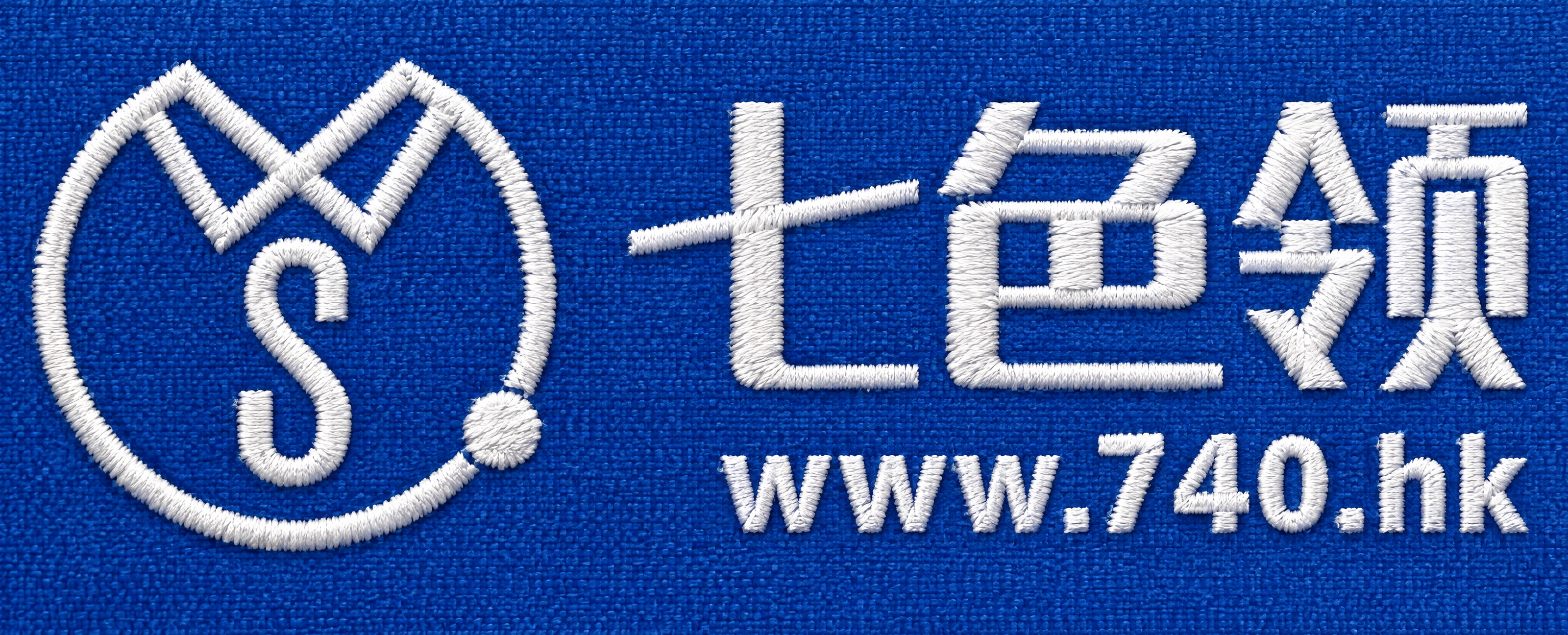 将参考图中的logo图案制作成刺绣效果，正蓝色布料底，白色刺绣… - 图片创意预览
