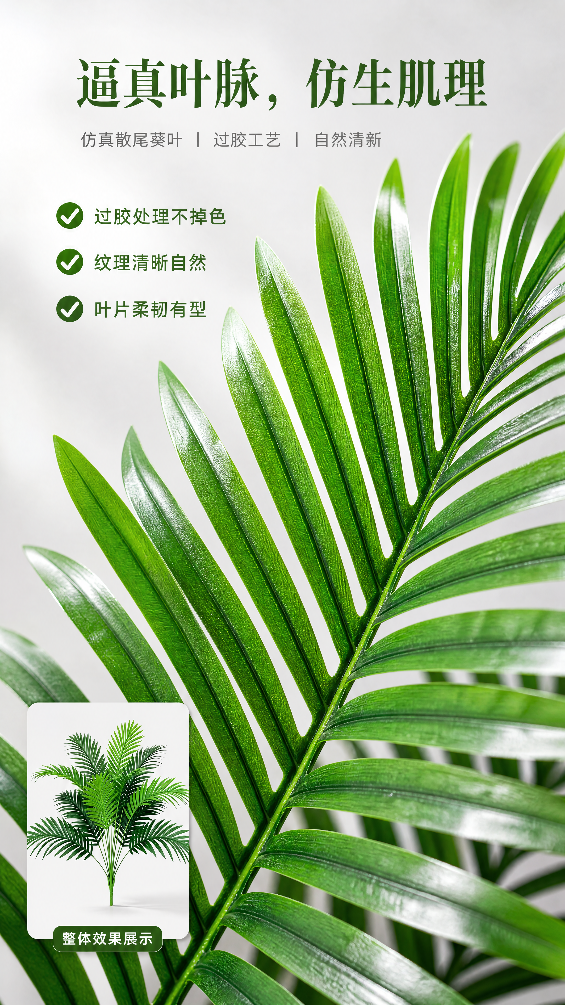 [第4屏] 叶片细节特写，展示仿真散尾葵材质工艺。本屏使用【图… - 图片创意预览