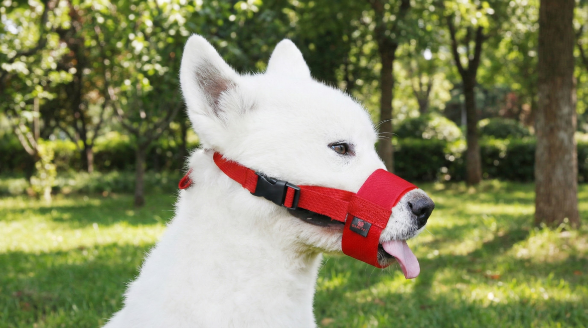 这款商品为狗狗嘴套，适用于短嘴犬，防咬、防啃咬、防吠叫，透气防水,物体主体特征不变,设计6张跟狗狗嘴套有关的图,比例 「16:9」预览效果