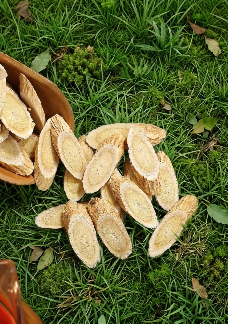 帮桌面换成森林里的绿色草地，去除所有的文字，其它一切不变预览效果