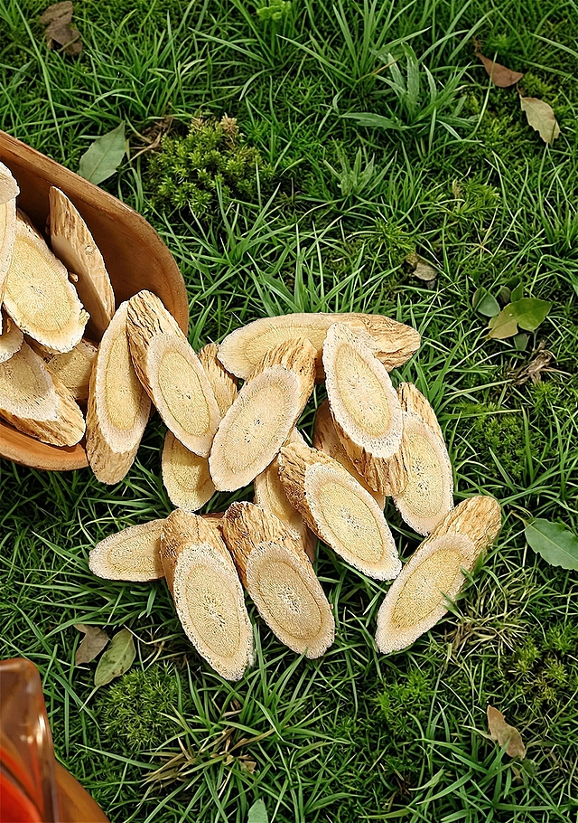 帮桌面换成森林里的绿色草地，去除所有的文字，其它一切不变